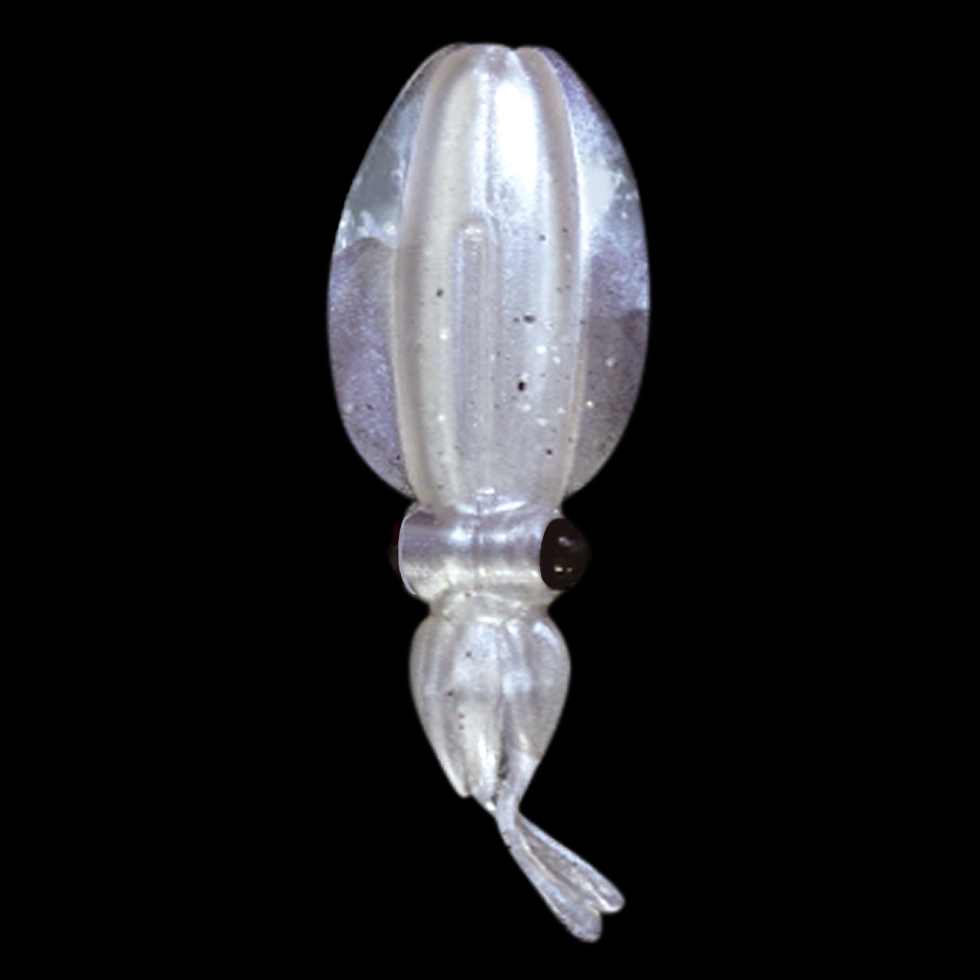 Xtrada Soft Lure : Puni-Ika WAVE – Xtradashop